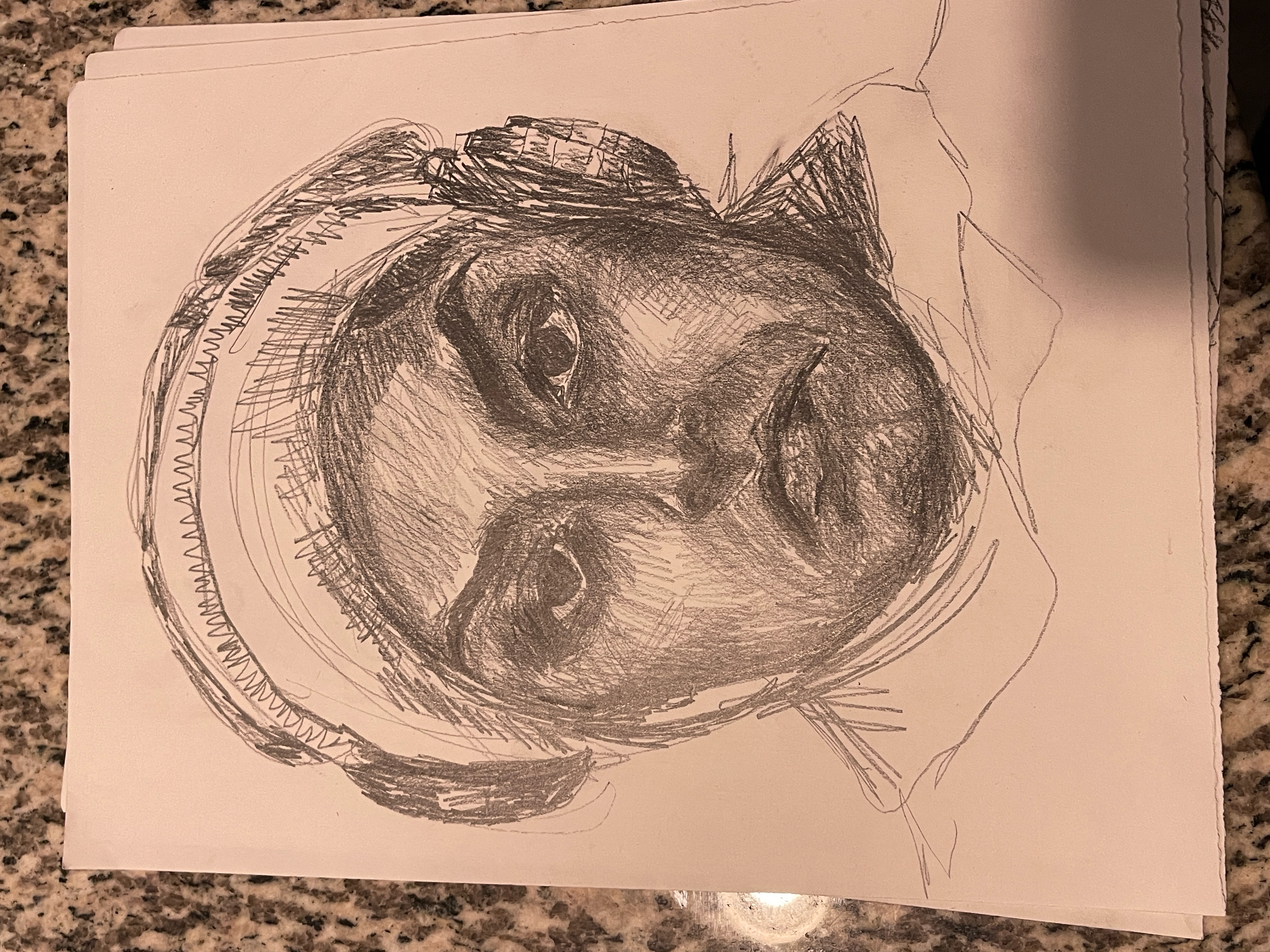 Drawing (Pencil)
